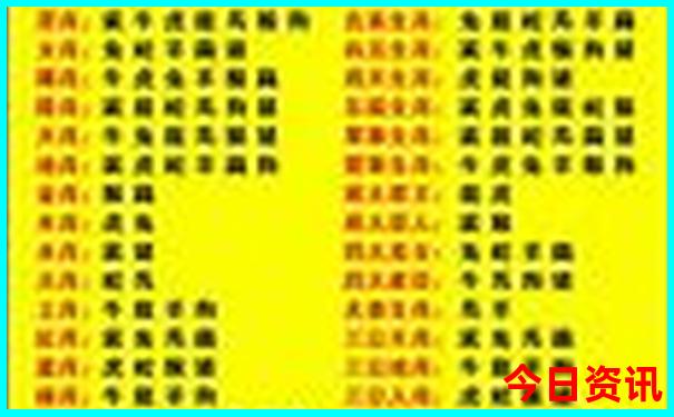 11133港澳宝典免费查询