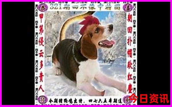 湖北附近好玩的地方